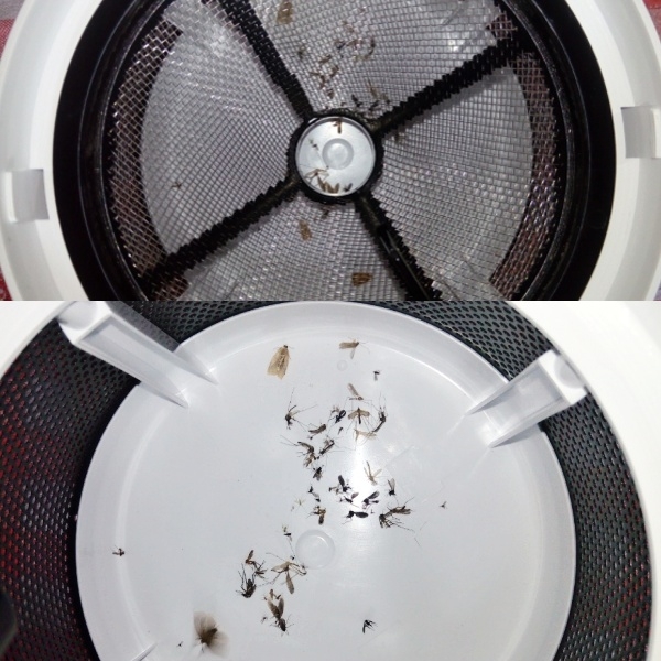  STYLIES Pictoris past na komáry - použití při večerním posezením na chatě