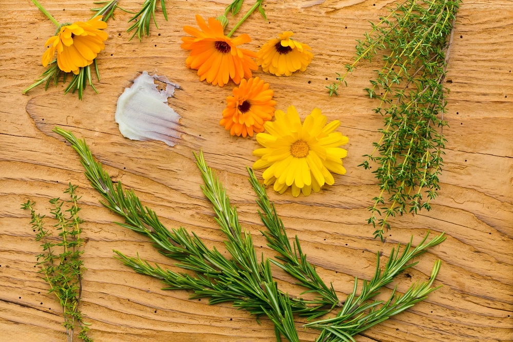 Bohemian_Balm_barrier_boost_7