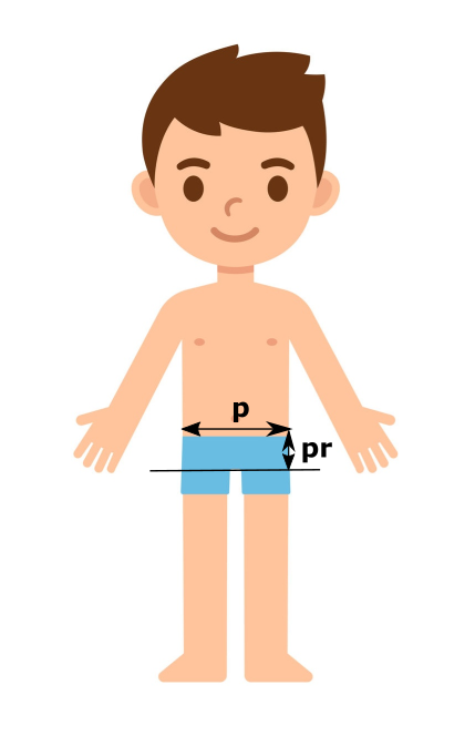 Ilustrace měření velikostí spodního prádla DermaProtec