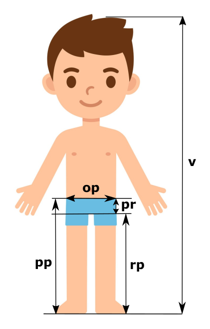 Ilustrativní zobrazení velikostí dětských legín