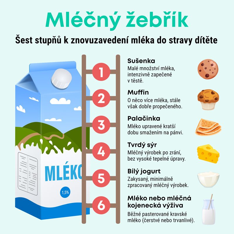 Mléčný žebřík – infografika