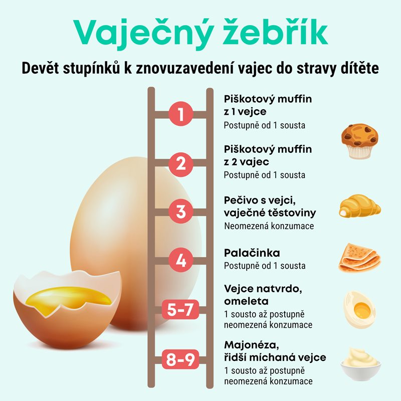 Infografika k vaječnému žebříku