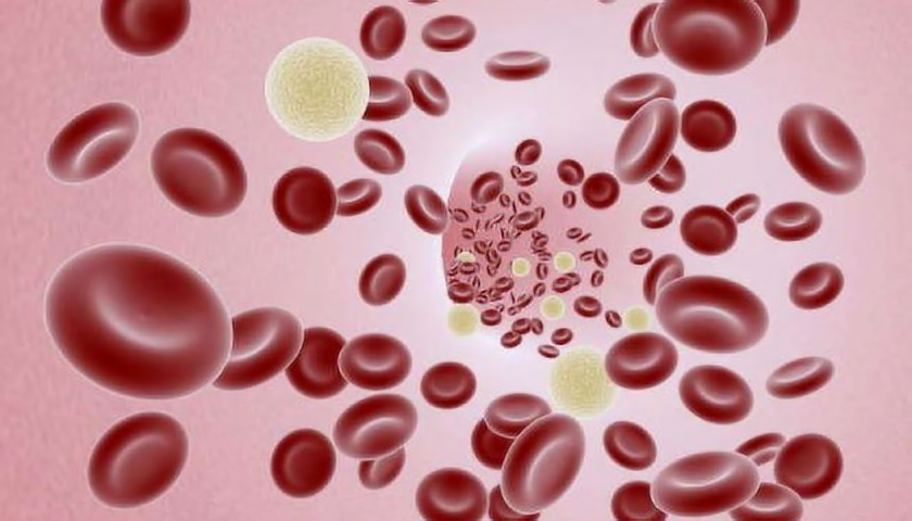 Při podezření na alergii se měří koncentrace imunoglubulinu E v krvi.