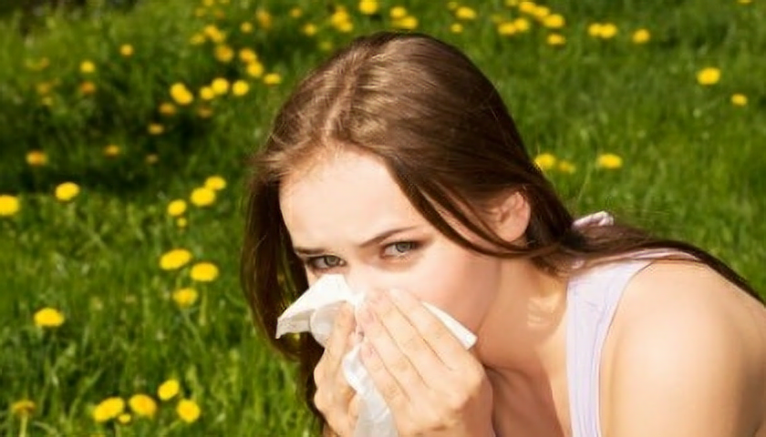 Nejen ve venkovních prostorách se setkáme s pyly trav, bylin a stromů, ale bohužel nás obvykle trápí i doma, v práci či ve škole. (foto: Dreamstime.com)