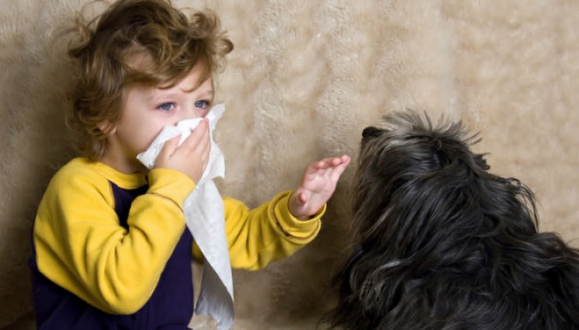 Alergie na zvířata ztěžuje dýchání, ale může se projevit i na pokožce
