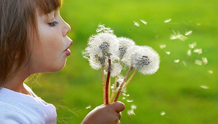 Ilustrační foto (zdroj: iStock)