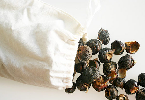 Mýdlové ořechy (ilustrační foto: iStock)